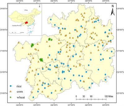 Spatial distribution and risk assessment of fluorine and cadmium in rice, corn, and wheat grains in most karst regions of Guizhou province, China